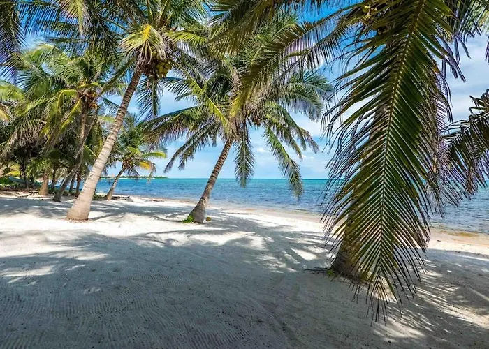 Beachfront Paradise With Private Pool Ocean View Full Kitchen & Shaded Patio - Mandala * Tulum