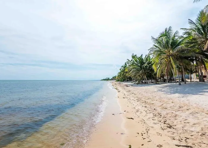 Beachfront Paradise With Private Pool Ocean View Full Kitchen & Shaded Patio - Mandala * Tulum